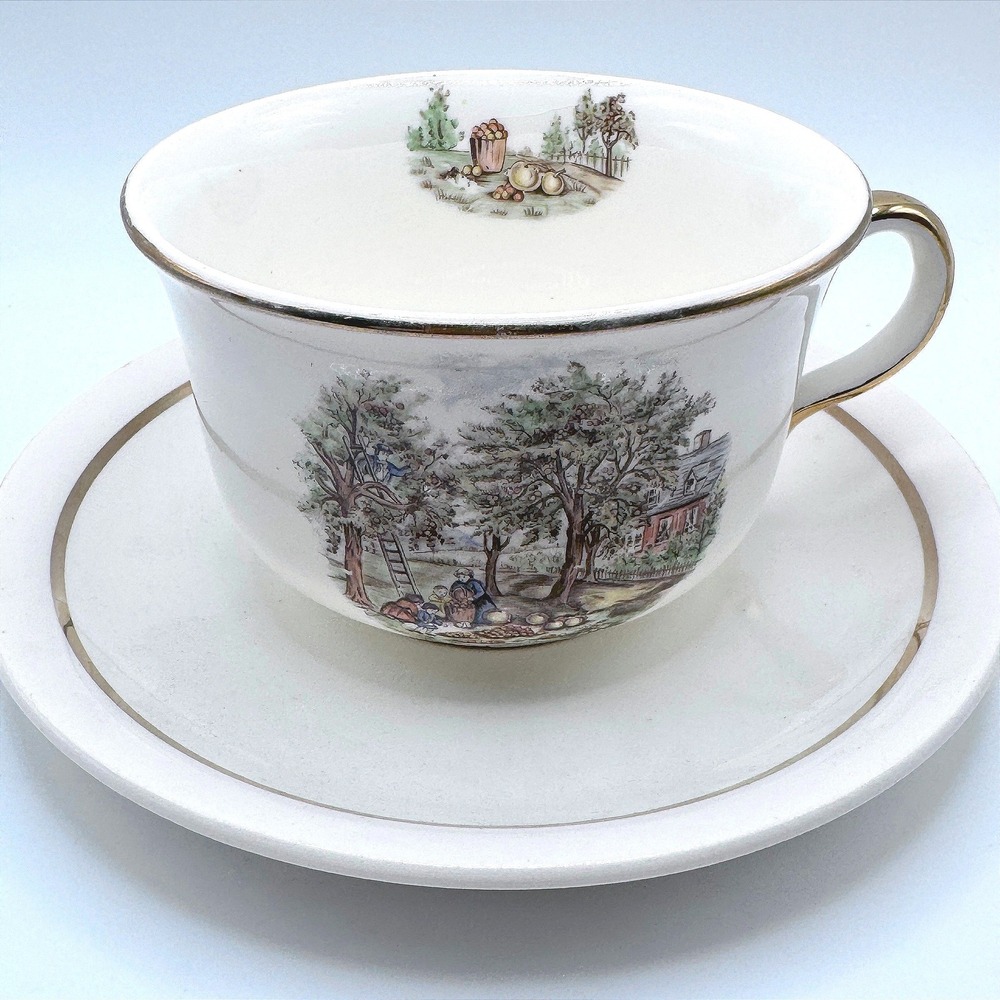 Vintage Country Orchard Tea Cup Saucer Set Gold Trim Cottagecore Japan Large